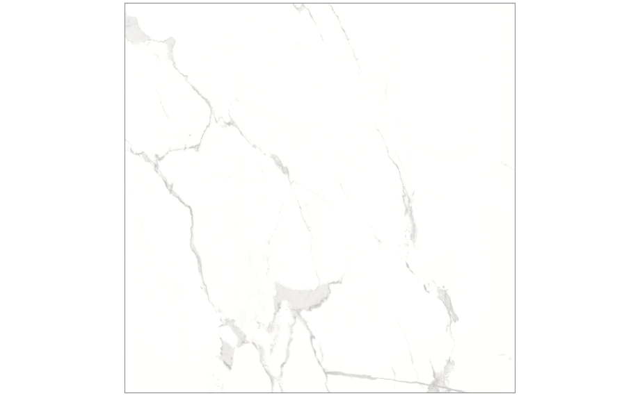 ALBATROS 120X120 - PD-KU-AL-0003