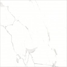 ALBATROS 120X120 - PD-KU-AL-0003