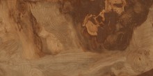 BRICHWOOD 60X120 F2